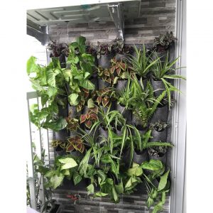 Một số hình ảnh thực tế của khách hàng khi sử dụng sản phẩm của công ty