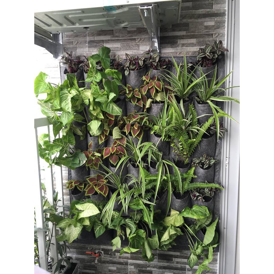 Một số hình ảnh thực tế của khách hàng khi sử dụng sản phẩm của công ty