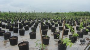 Các đối tác kinh doanh