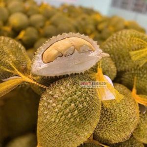 Cận cảnh mắt lưới chịu lực cao, ôm sát theo hình dáng trái sầu riêng