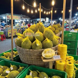 Những trái sầu riêng được bọc gọn gàng trong túi lưới nhựa màu vàng, xanh bắt mắt